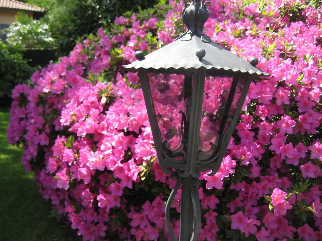 Villa Margherita Lake Maggiore Kültér fotó