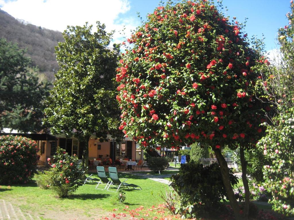 Villa Margherita Lake Maggiore Kültér fotó